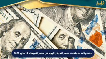 «تحديثات عاجلة».. سعر الدولار اليوم في مصر الأربعاء 14 مايو 2025
